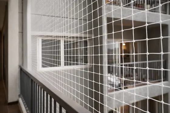 Anti Bird Net Installation in Hyderabad Anti Bird Net Installation service in Hyderabad