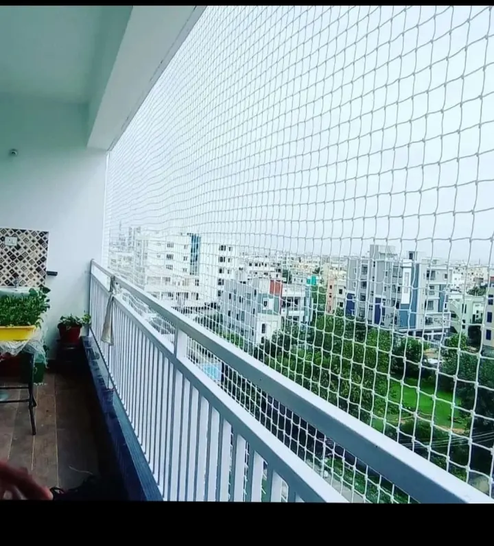 Bird-exclusion mesh covering a balcony opening