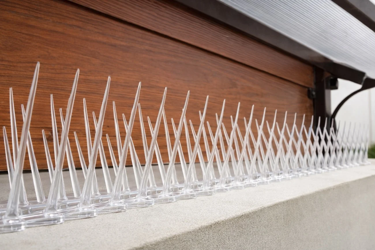 Bird Spikes Installation installation near Hyderabad