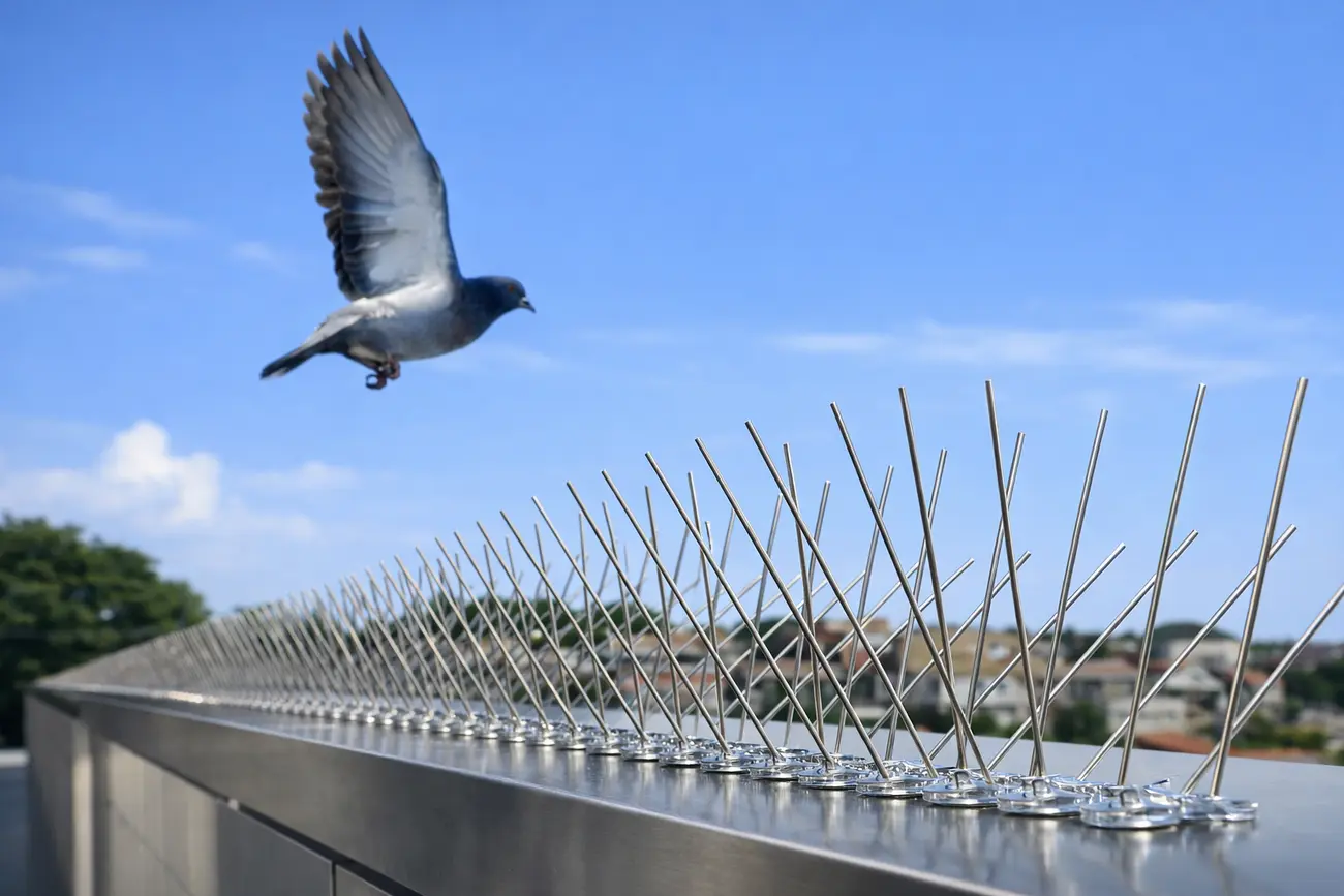Bird Spikes Installation in Bachupally Bird Spikes Installation service in Bachupally