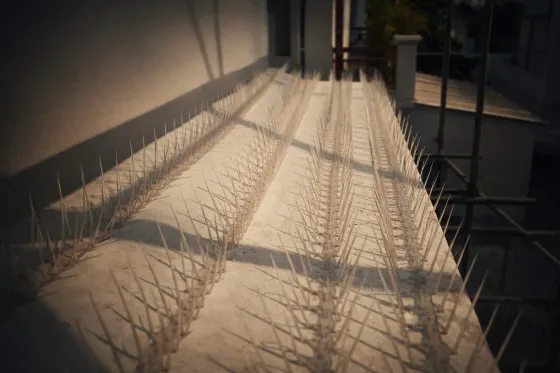 Bird Spikes Installation installation near Madhapur