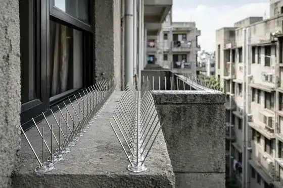 Bird Spikes Installation installation near Dr AS Rao Nagar